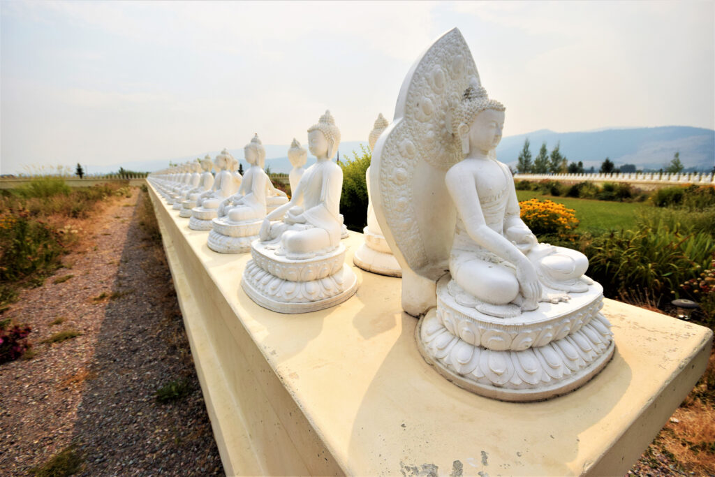 Garden of a Thousand Buddhas