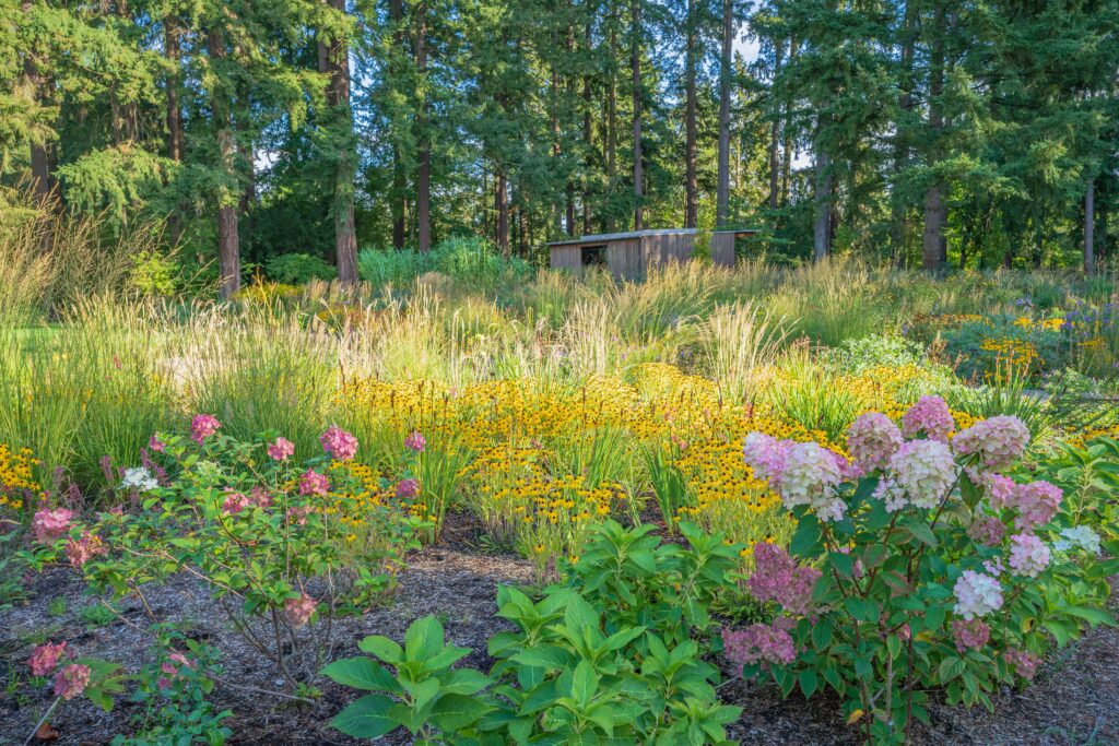 Leach Botanical Garden