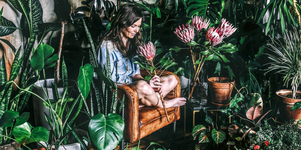 Abundant Houseplants Designed by Hilton Carter