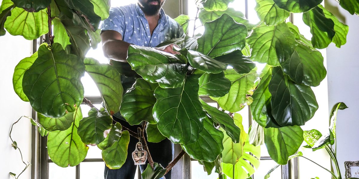 Hilton Carter, Author of Wild at Home Book