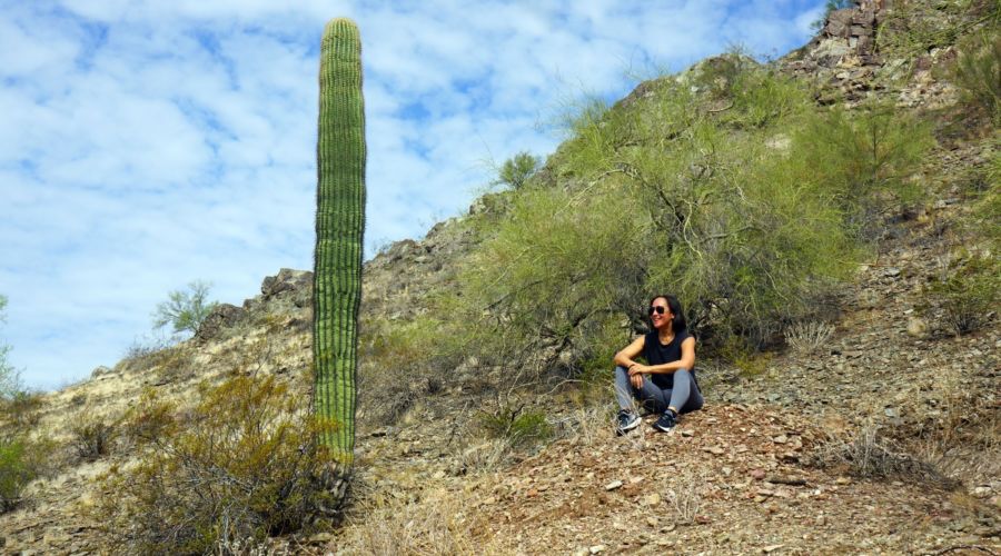 Tapatio Valerie and Cactus