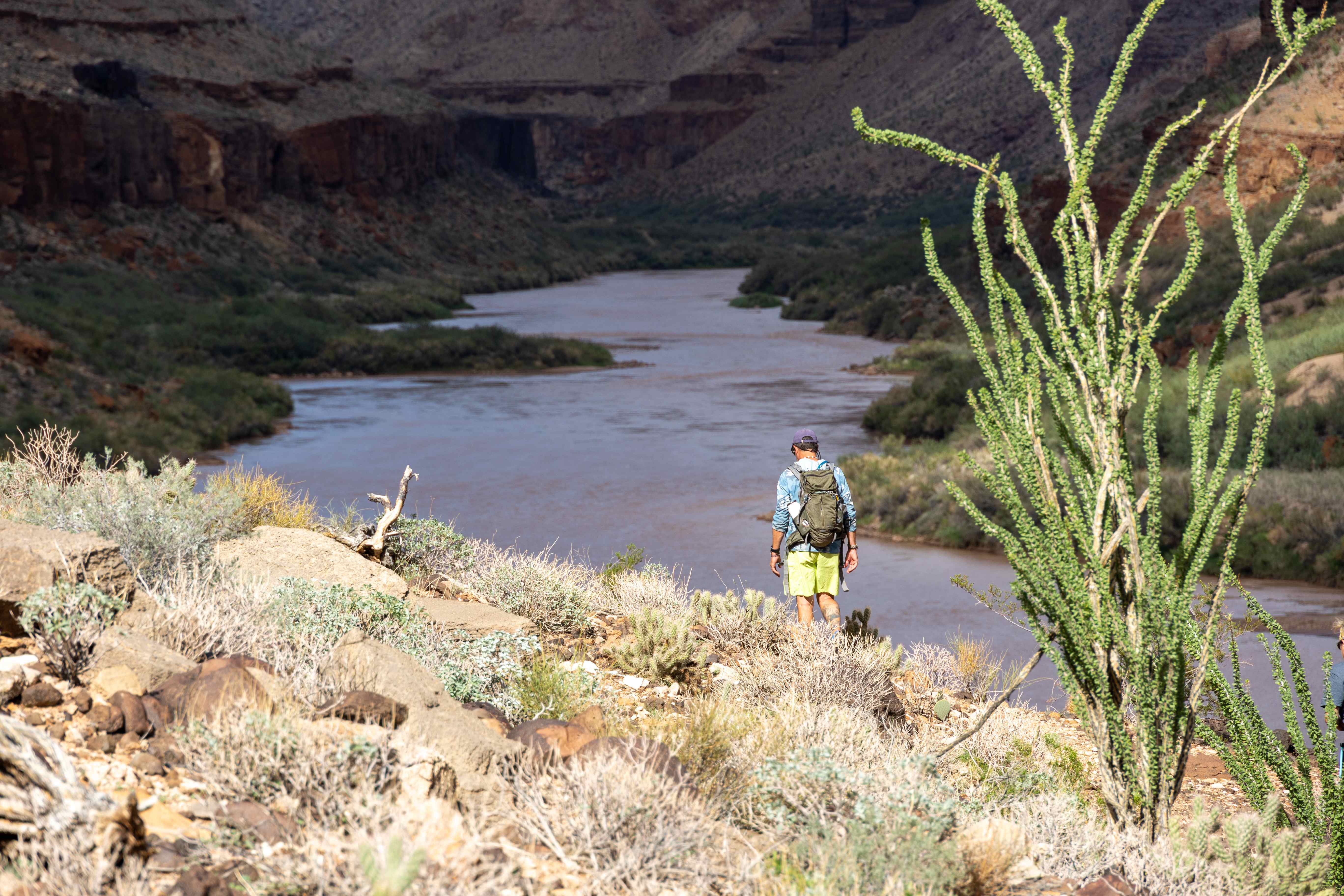 a-hiker-takes-in-a-sweeping-view-of-the-colorado-river-winding-through-grand-canyon
