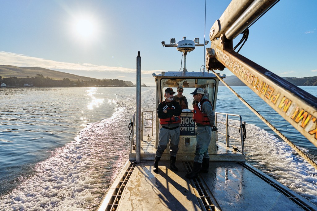 This Oyster Farm Should Be on Your California Bucket List