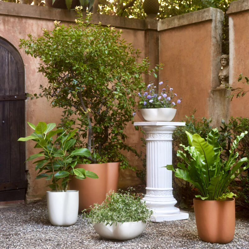 Lulu & Georgia Planters Lifestyle