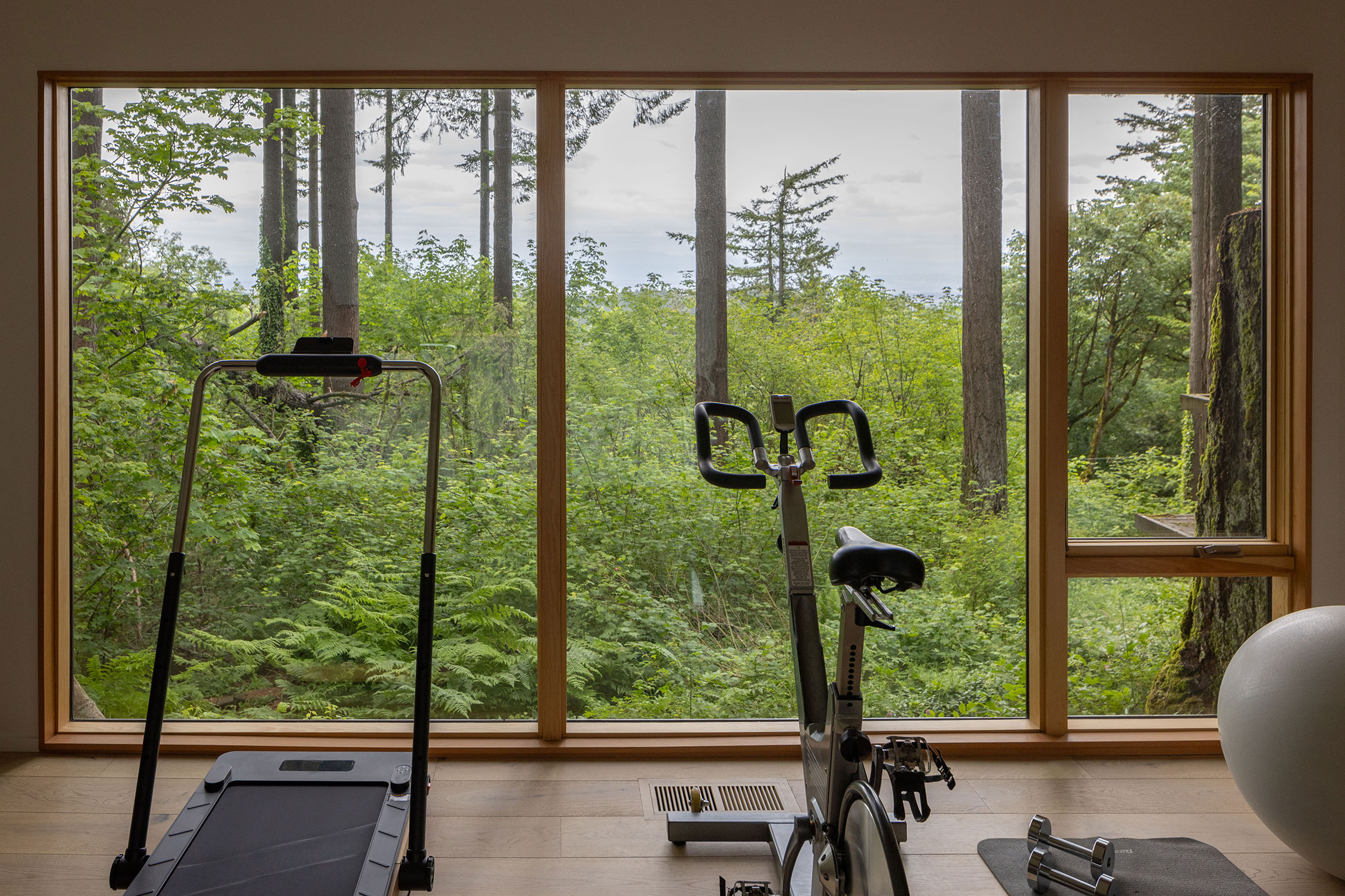 Home Gym in Mori House by SHED Architecture