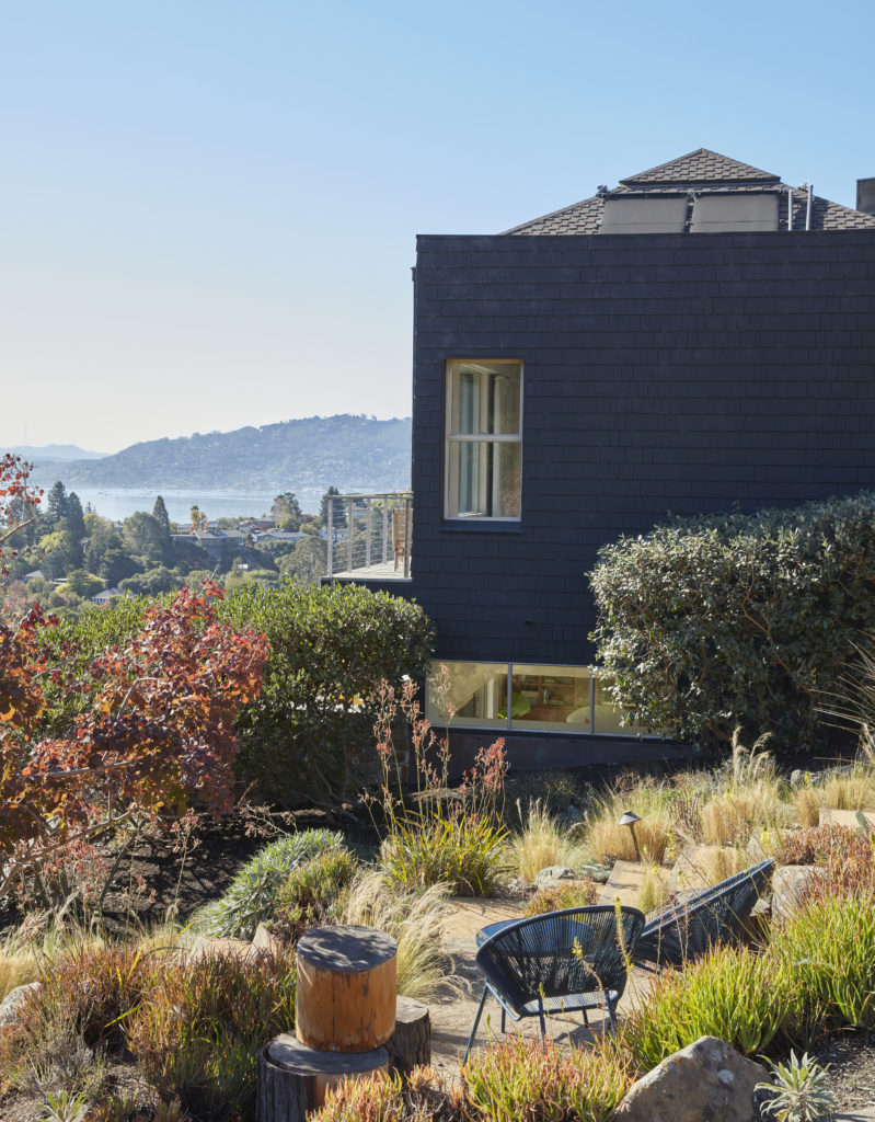 Lisa le duc Tiburon garden