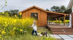gustave-carlson-sonoma-country-house-wild-mustard
