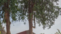 best-practice-architecture-seattle-modern-cottage