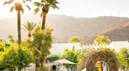 Palm Springs Honeymoon