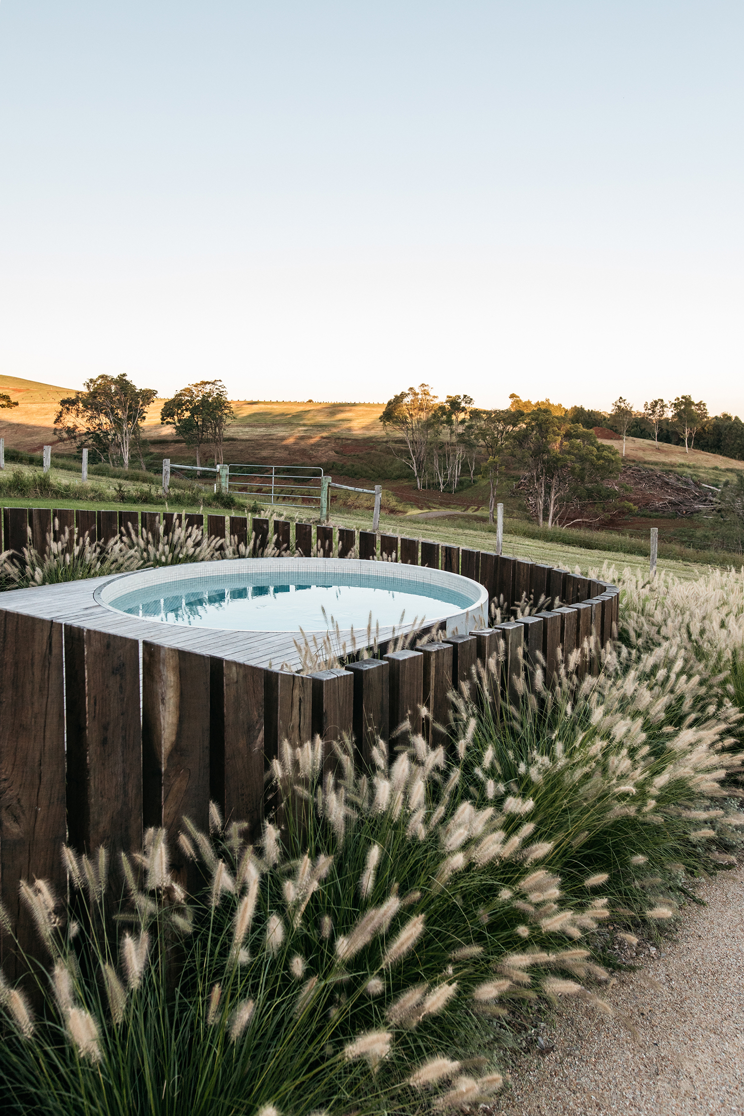 Hot Tub Fig Landscapes