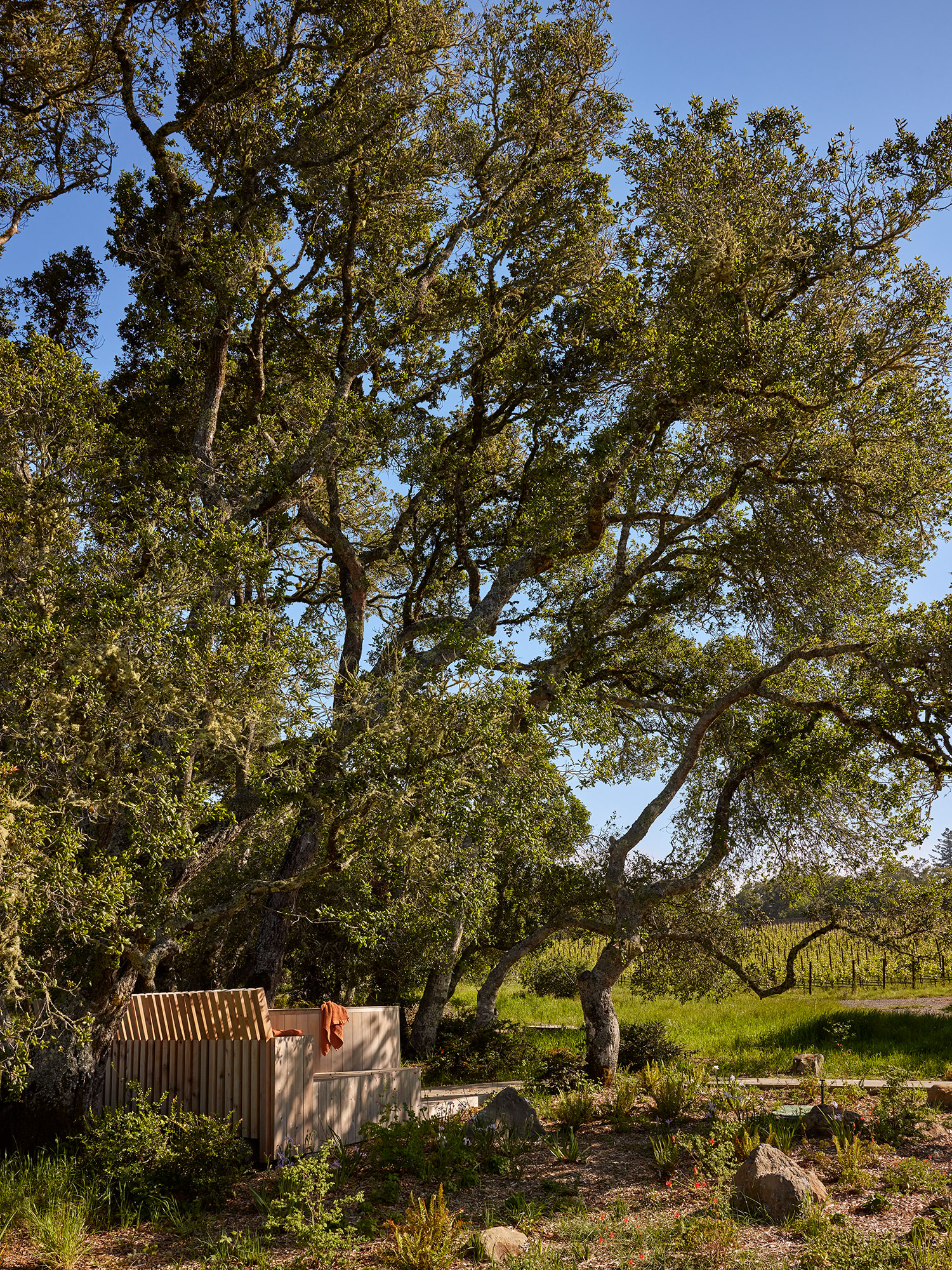 Hot Tub in Sonoma Retreat by Regan Baker Design