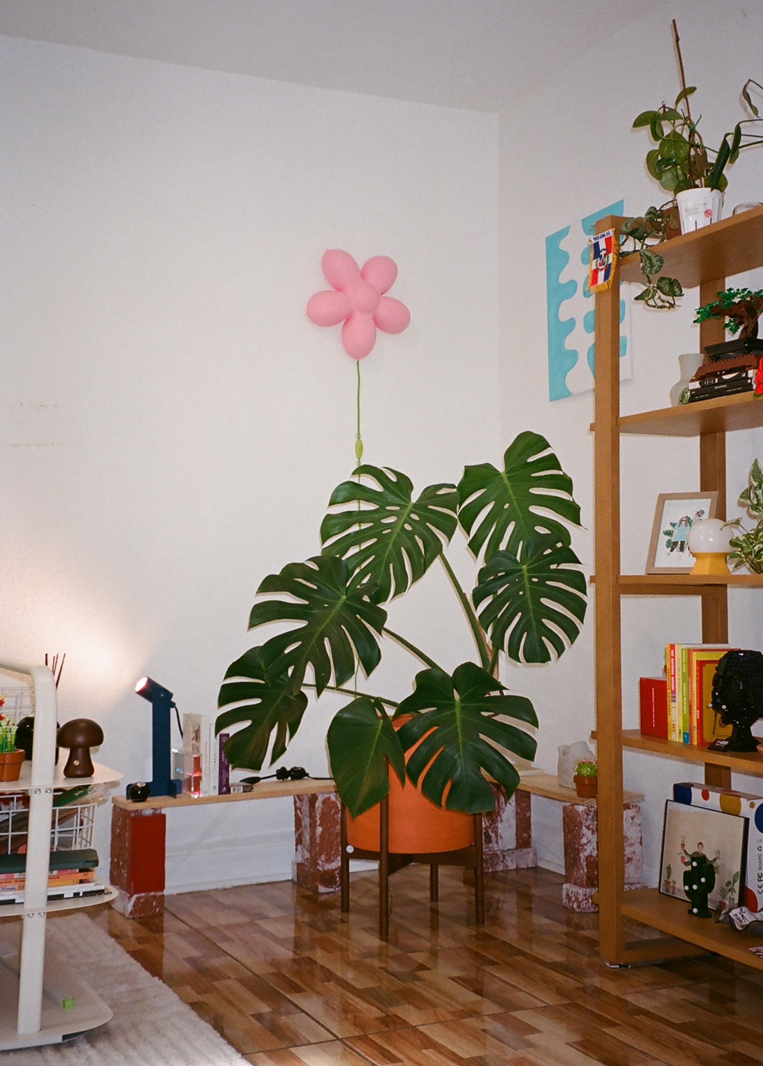 Houseplant Corner