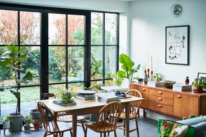 Houseplants in Dining Room