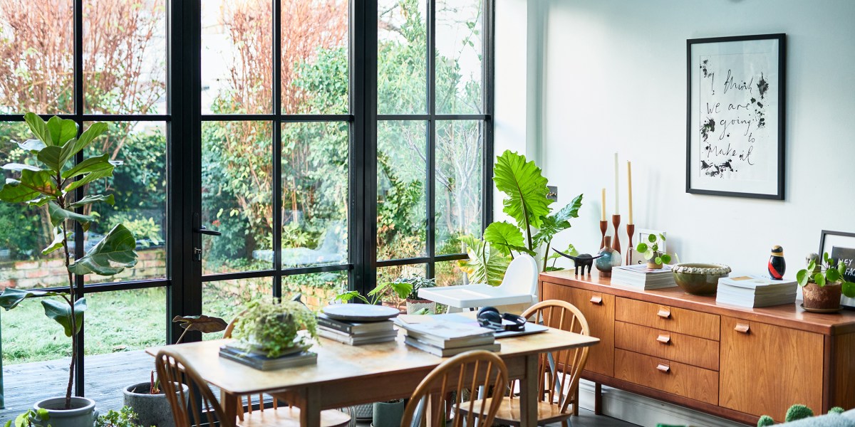 Houseplants in Dining Room