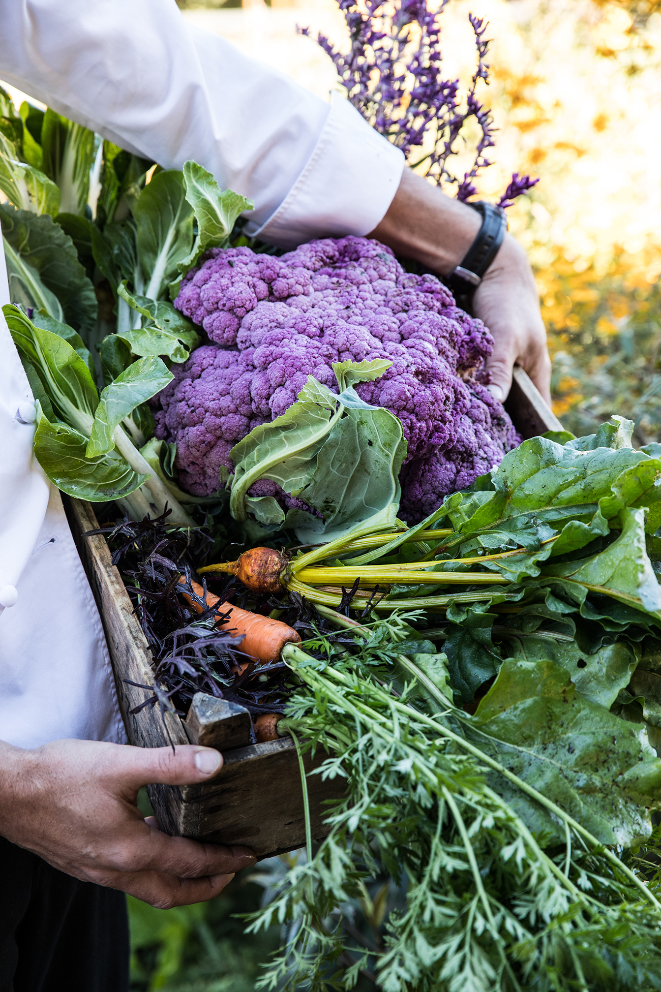 golden-door-garden-produce