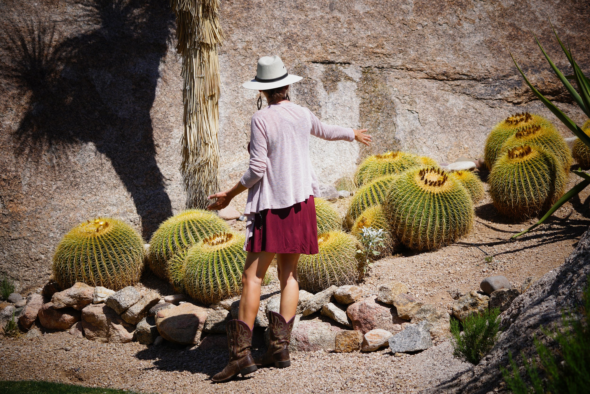 sonoran-explorin-nature-tour
