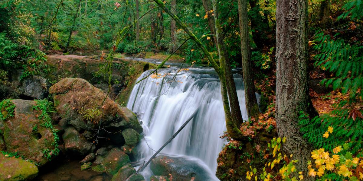 Whatcom Falls