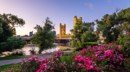 West Sacramento with Bridge