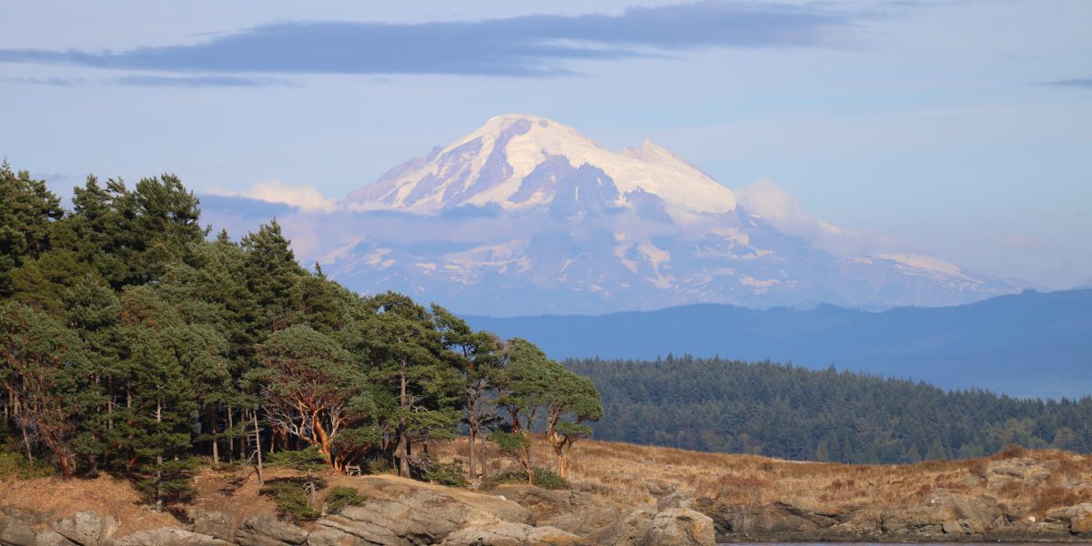 Mountain behind trees