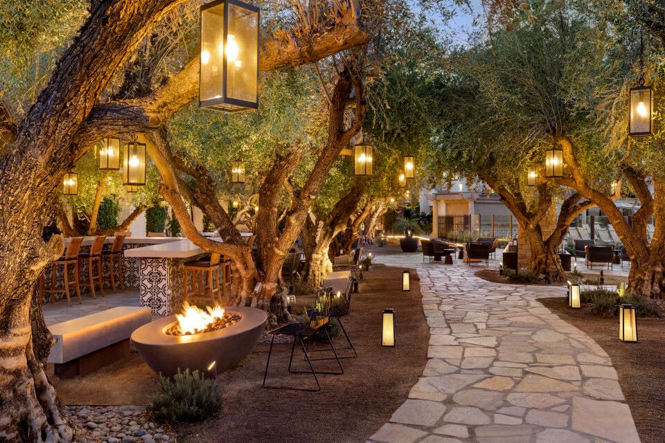 olive-grove-patio
