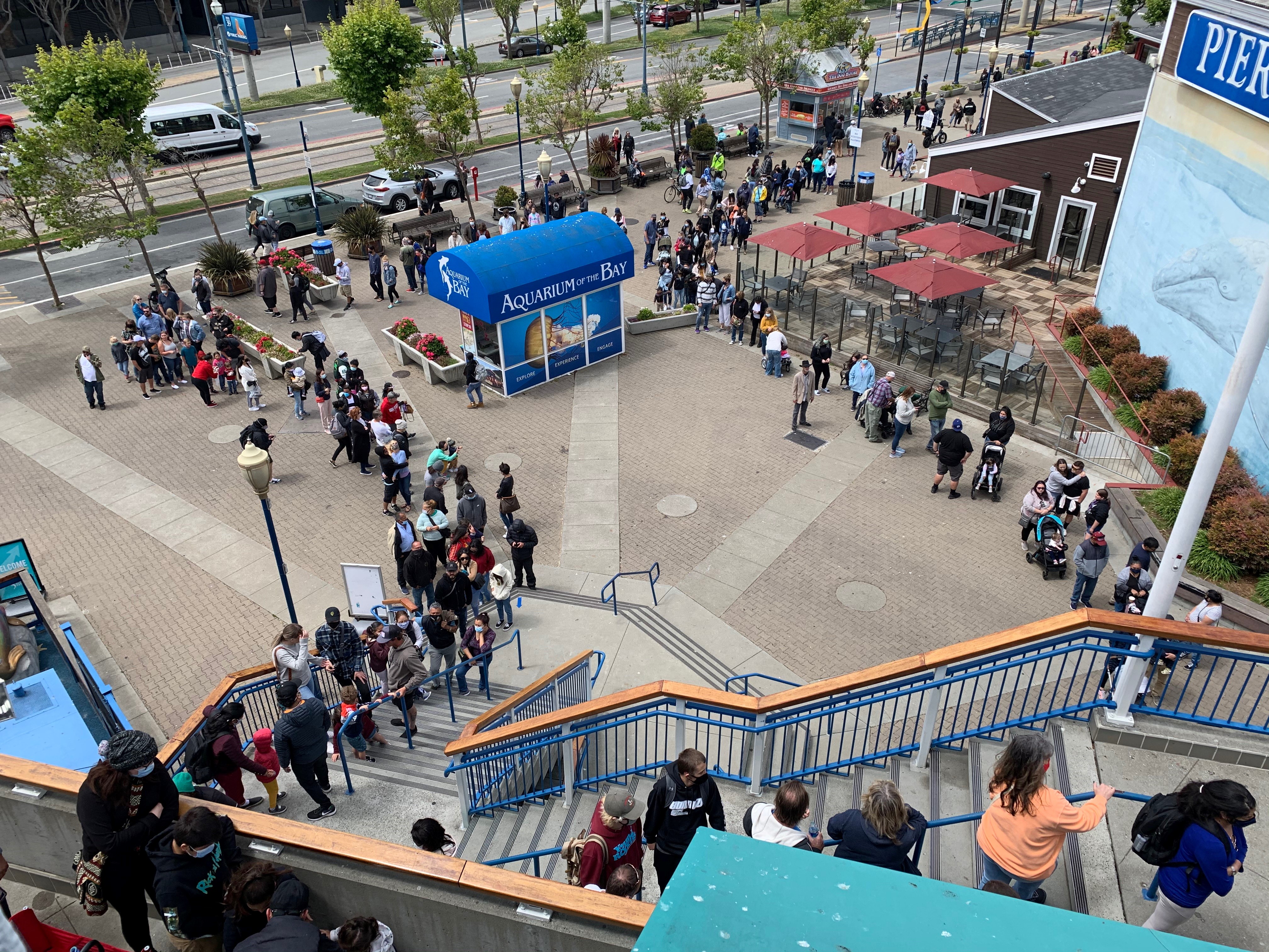 massive-lineups-on-the-san-francisco-to-get-into-the-aquarium