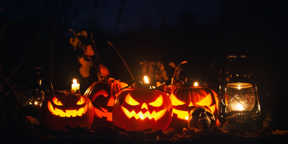 Jack-o-Lantern Pumpkins