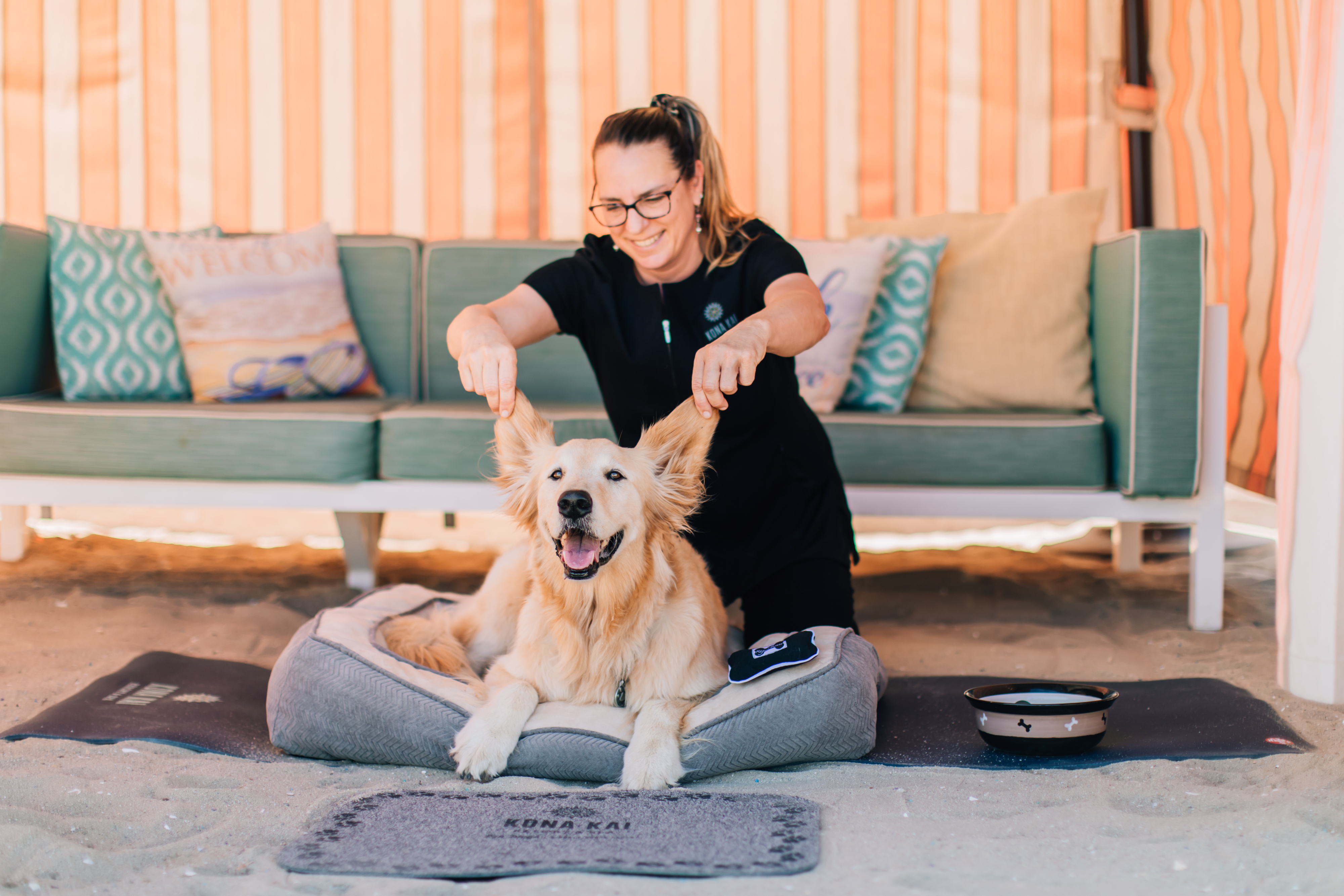 dog-friendly-wellness