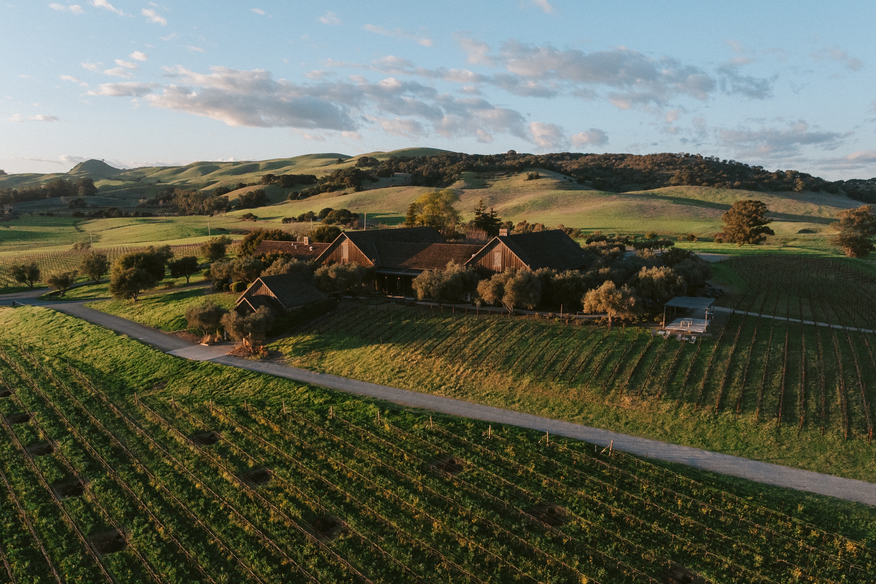 rams-gate-winery-28-acre-estate-vineyard