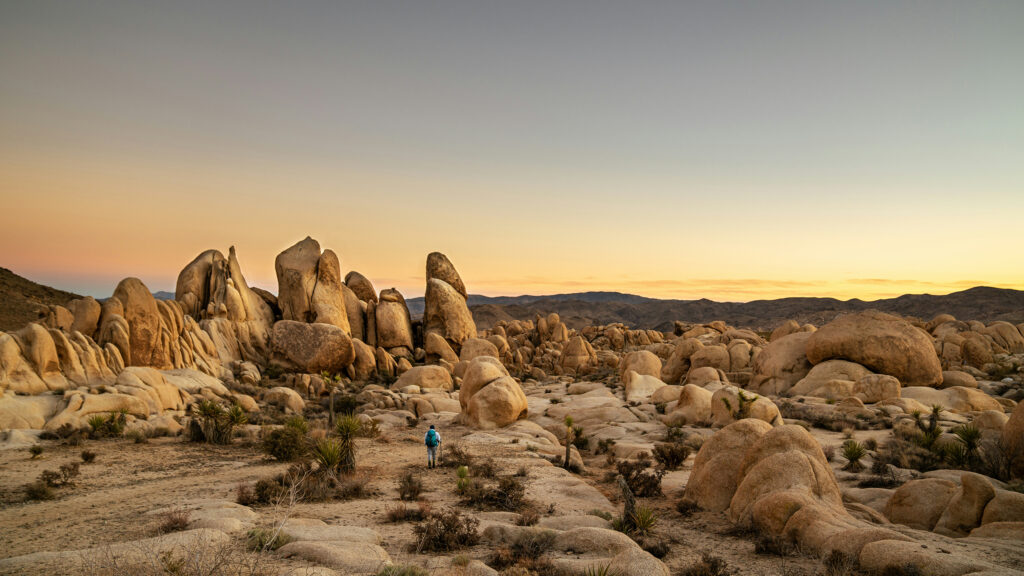 Joshua Tree National Park Hiker