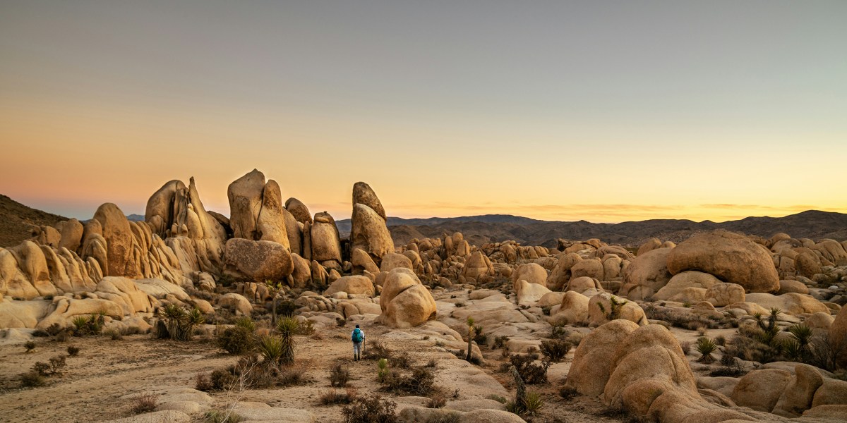 Joshua Tree National Park Hiker