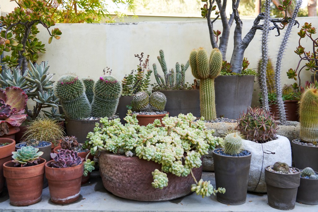 Winter Is Still a Critical Season for Gardening. Here’s Your To-Do List.