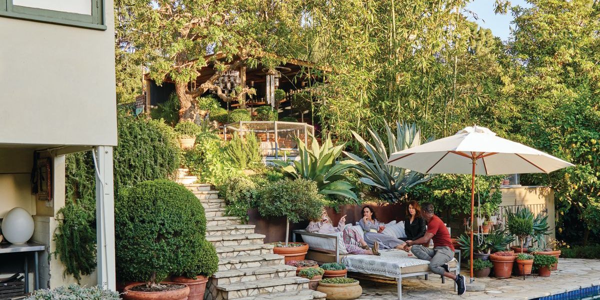 Backyard Pool with foliage