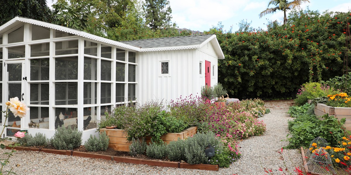 Kate Richards Chicken Coop Exterior