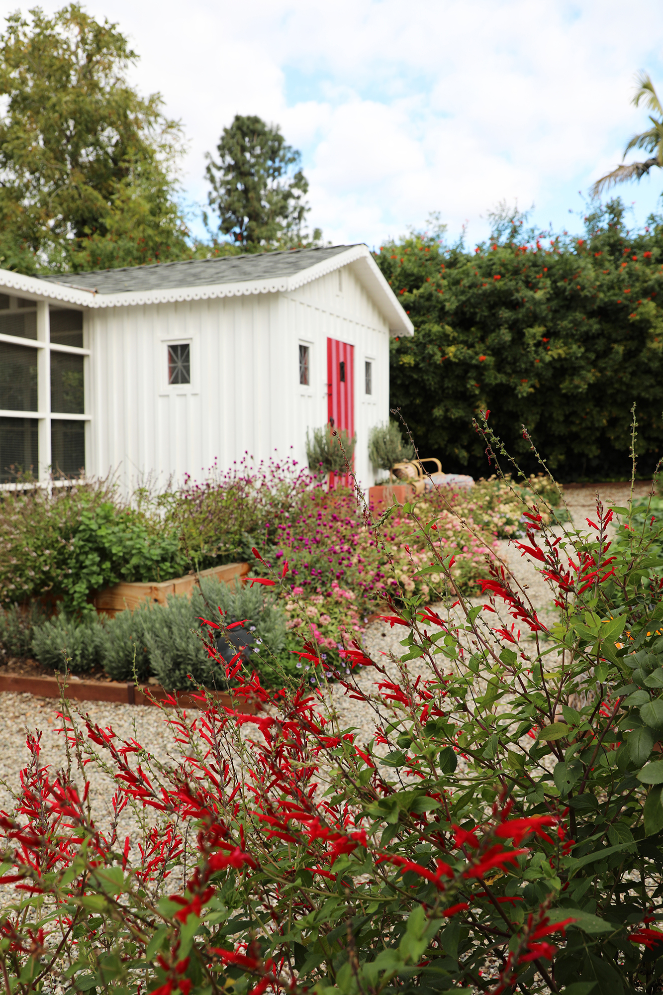 Kate Richards Chicken Coop Exterior Vertical