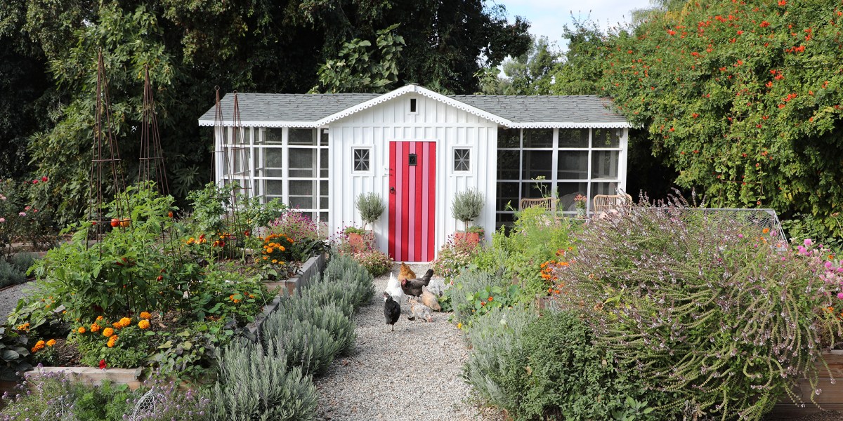Kate Richards Chicken Coop Exterior