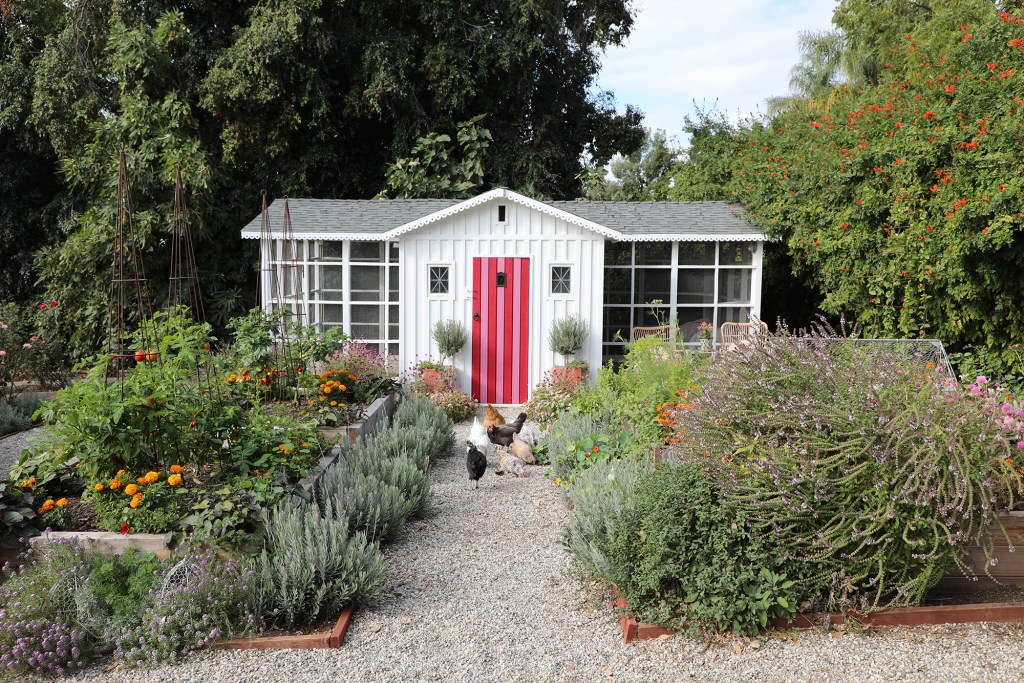 This Glamorous, Wallpapered Shack Puts the Chic in Chicken Coop