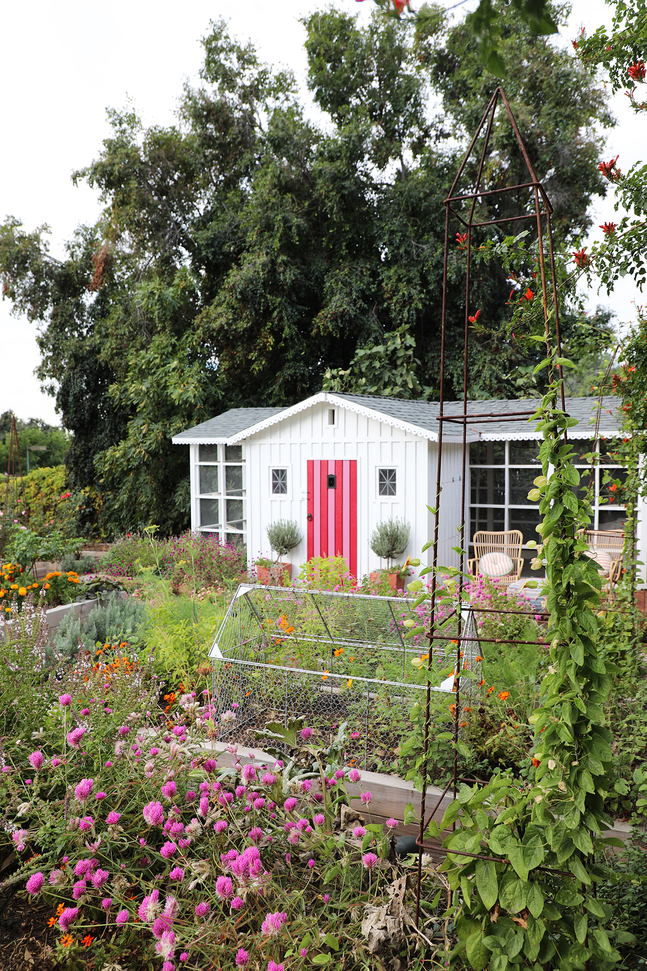 Kate Richards Chicken Coop Garden