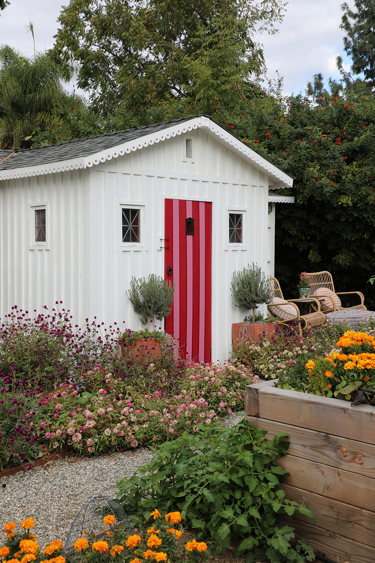 Kate Richards Chicken Coop Marigolds Raised Bed