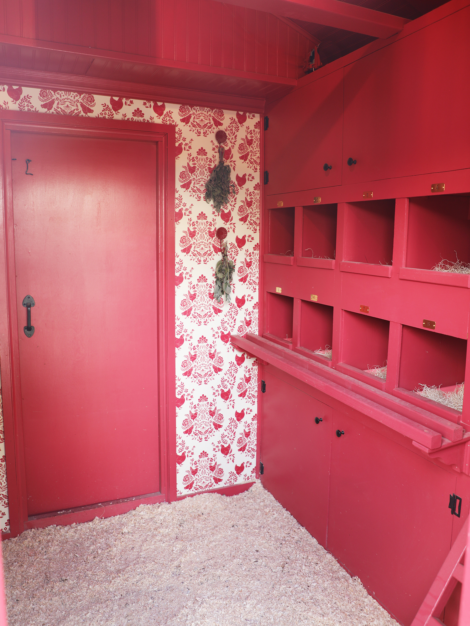 Kate Richards Chicken Coop Roosting Area