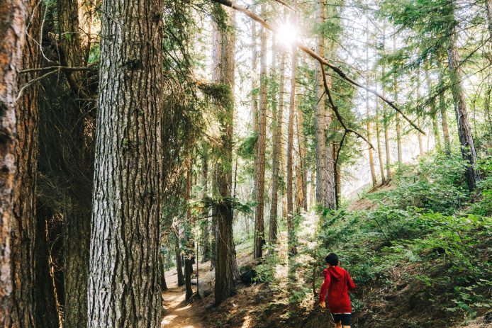 Kid on Hiking Trail