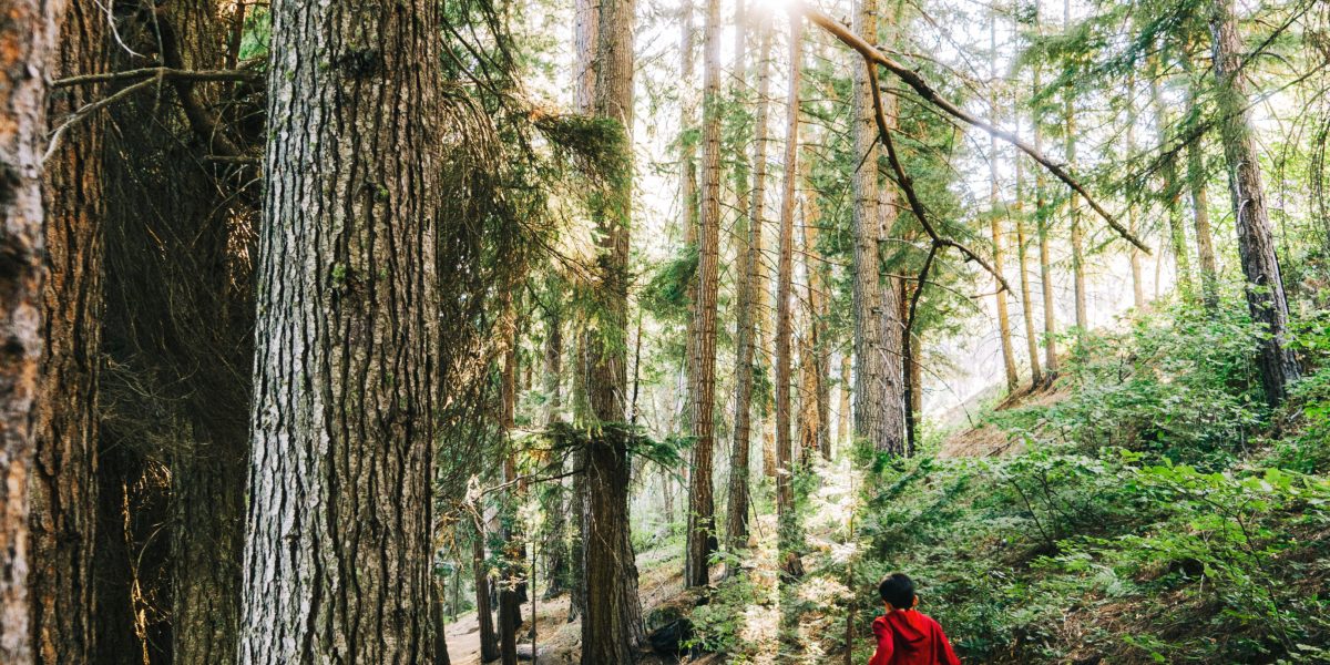 Kid on Hiking Trail