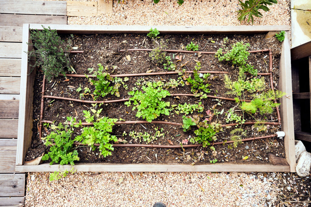 Kismet Garden Drip Irrigation