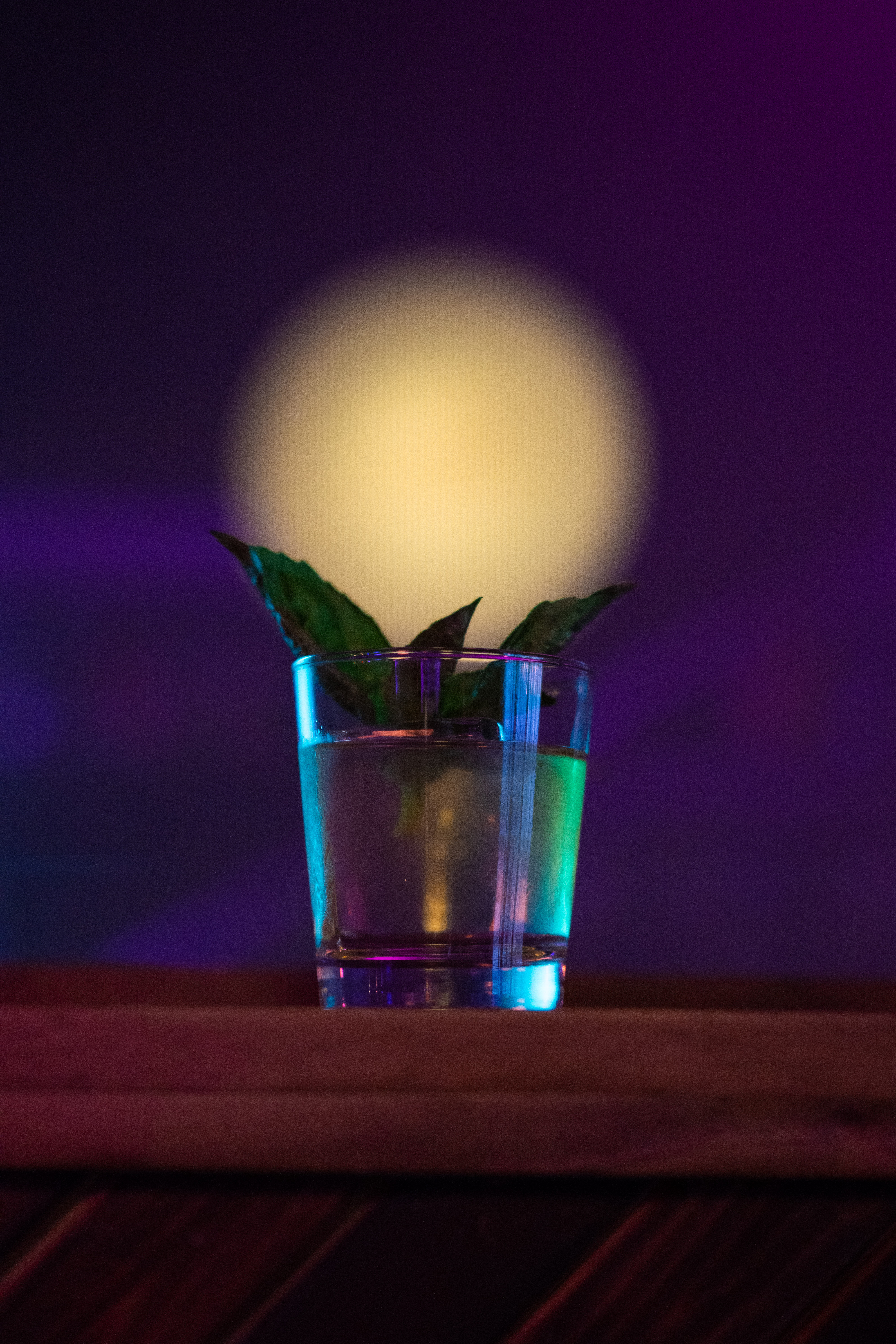too-soons-signature-cocktail-the-house-special