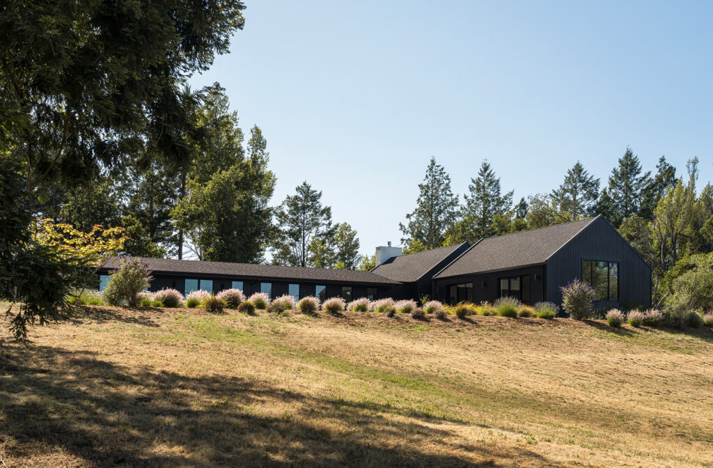 Landscaping in Sonoma House by Lucy McLintic