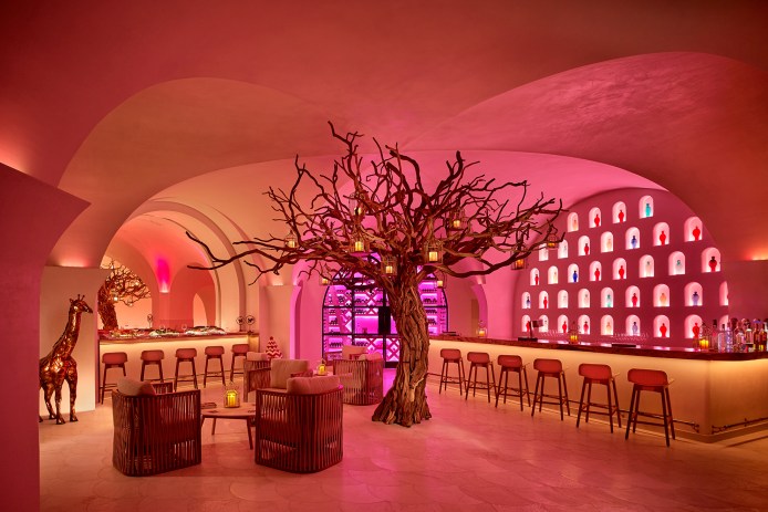 Las Ventanas al Paraiso Arbol Interior