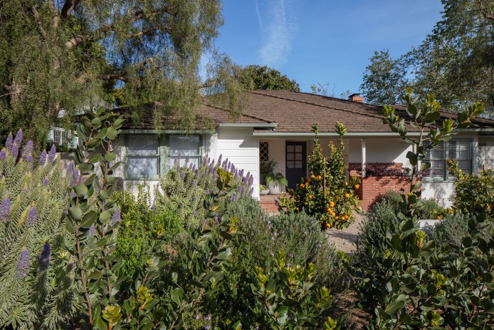 Lawn Removal Wild Canyon Landscapes