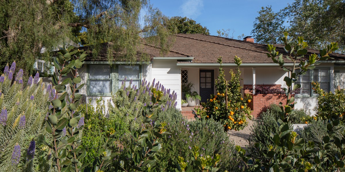 Lawn Removal Wild Canyon Landscapes