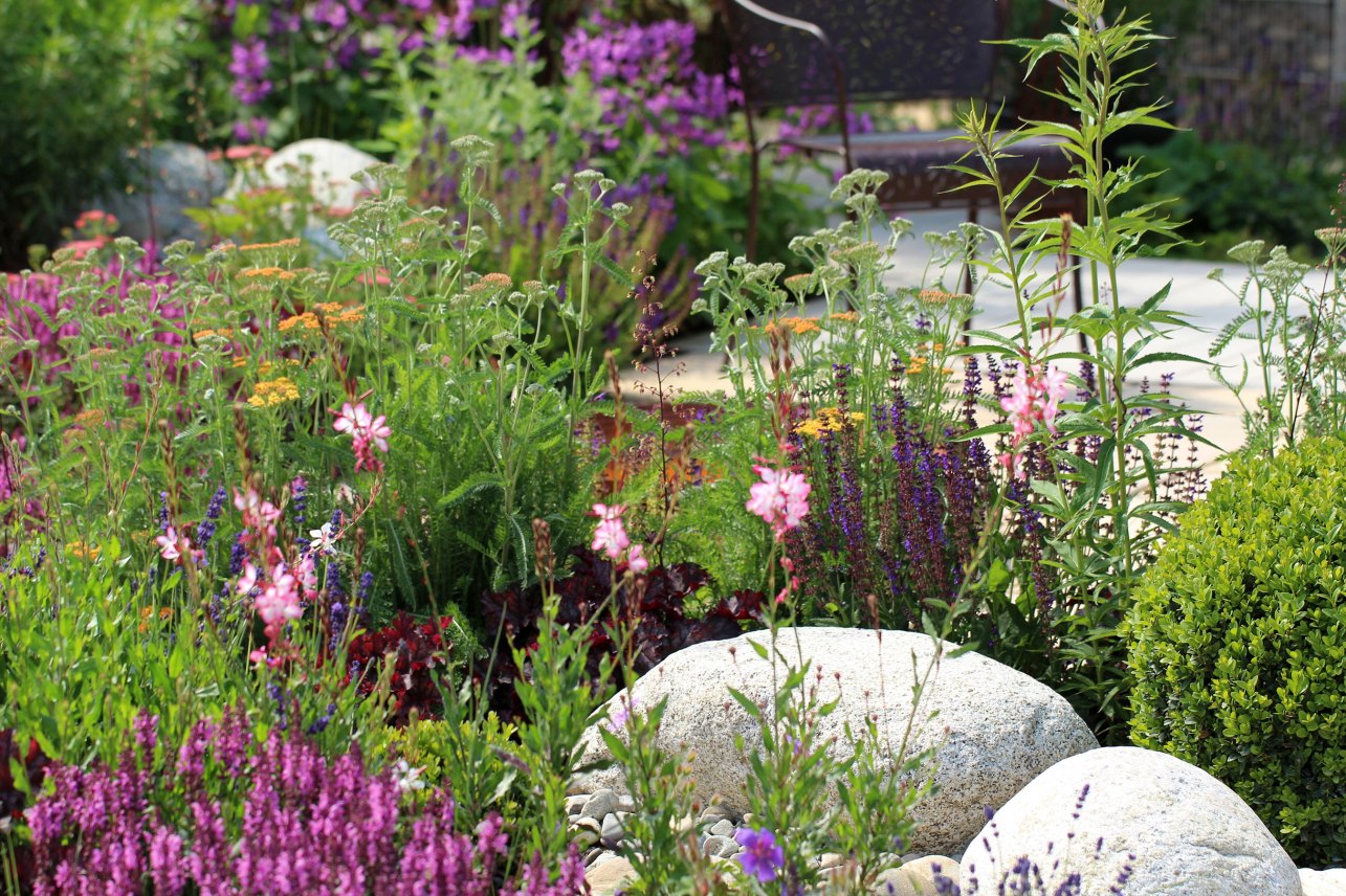 This Is What I Wish I'd Known Before Tearing out My Lawn 