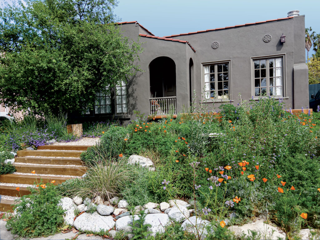 Front Yard Native Garden