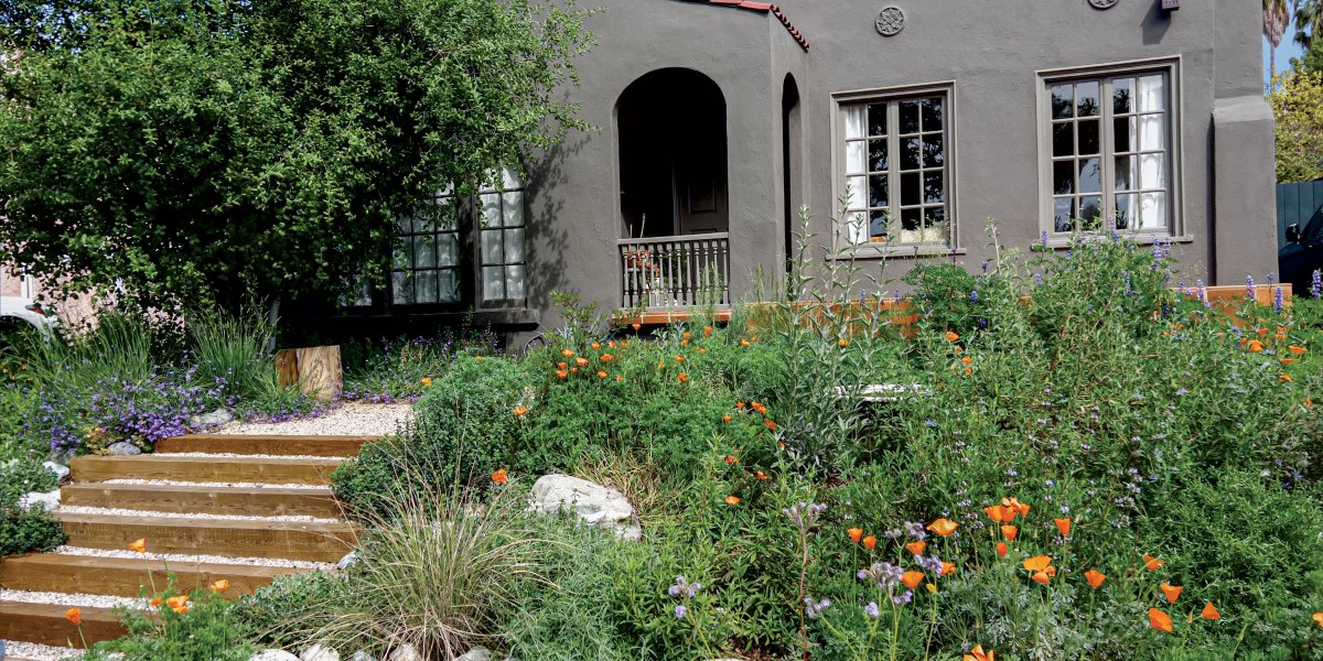 Front Yard Native Garden